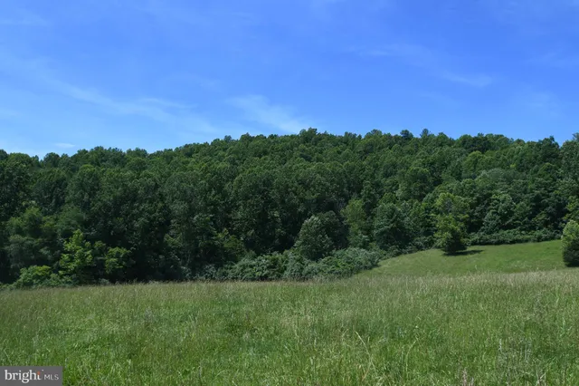 a view of a lush green space with sea