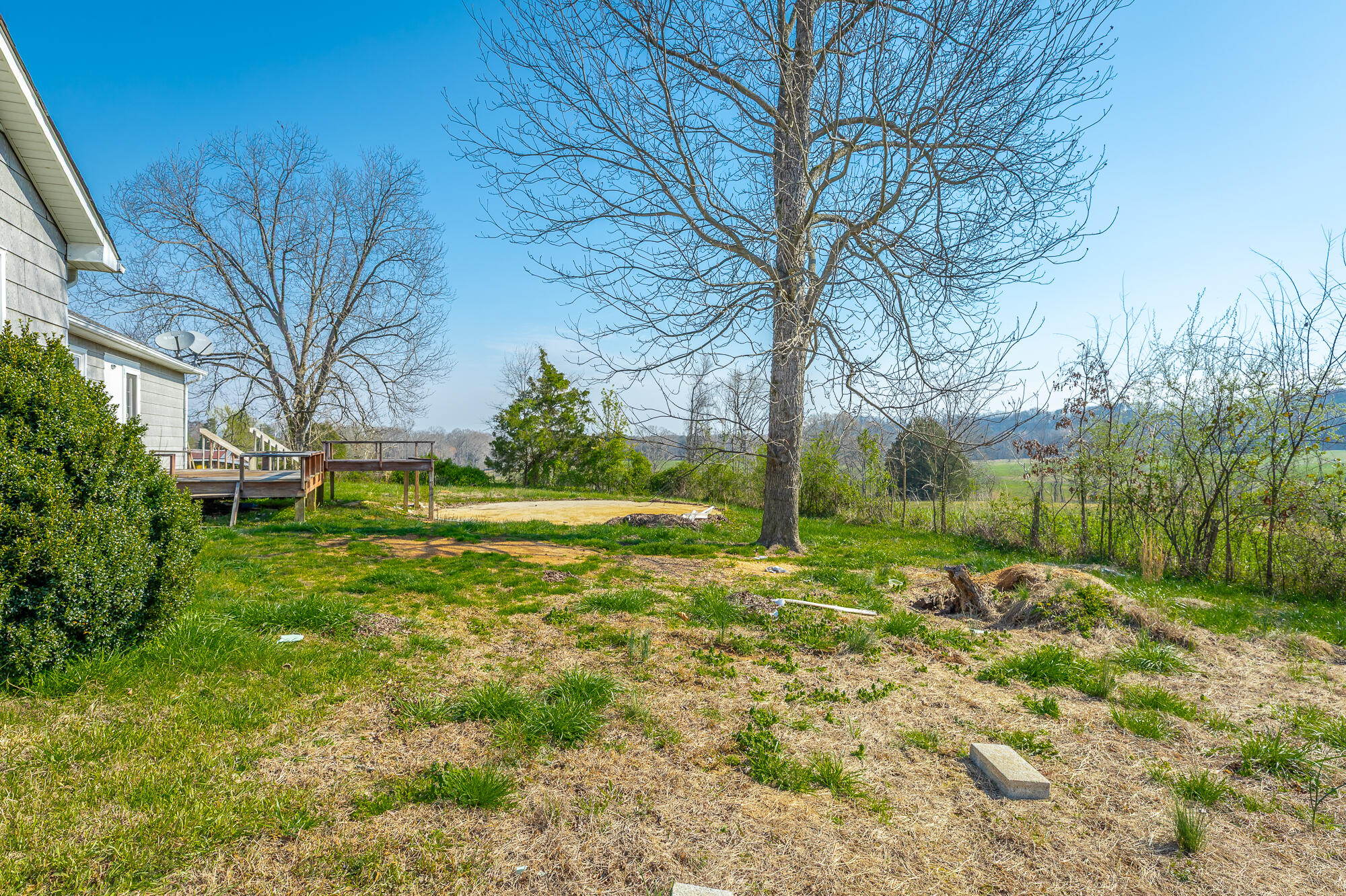 3964 Wolf Creek Road Spring City, TN 37381 - Photo 18 of 18 Back of home