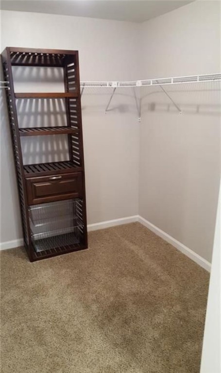101 North Foxglove Road Westminster, SC 29693 - Photo 15 of 49 Owners walk in closet