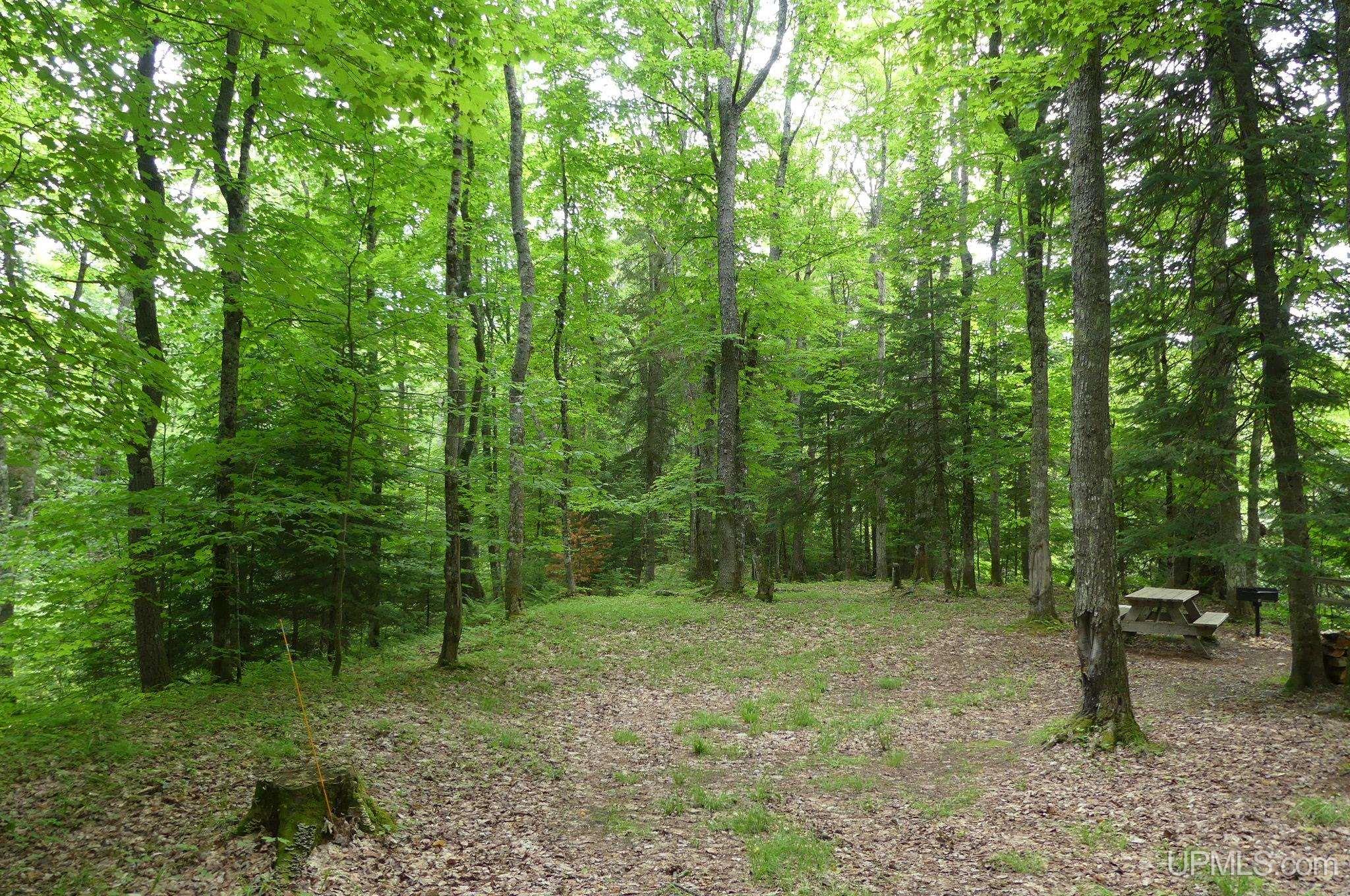 47 East 3rd Road Seney, MI 49883 - Photo 20 of 30 Gallery Image 20