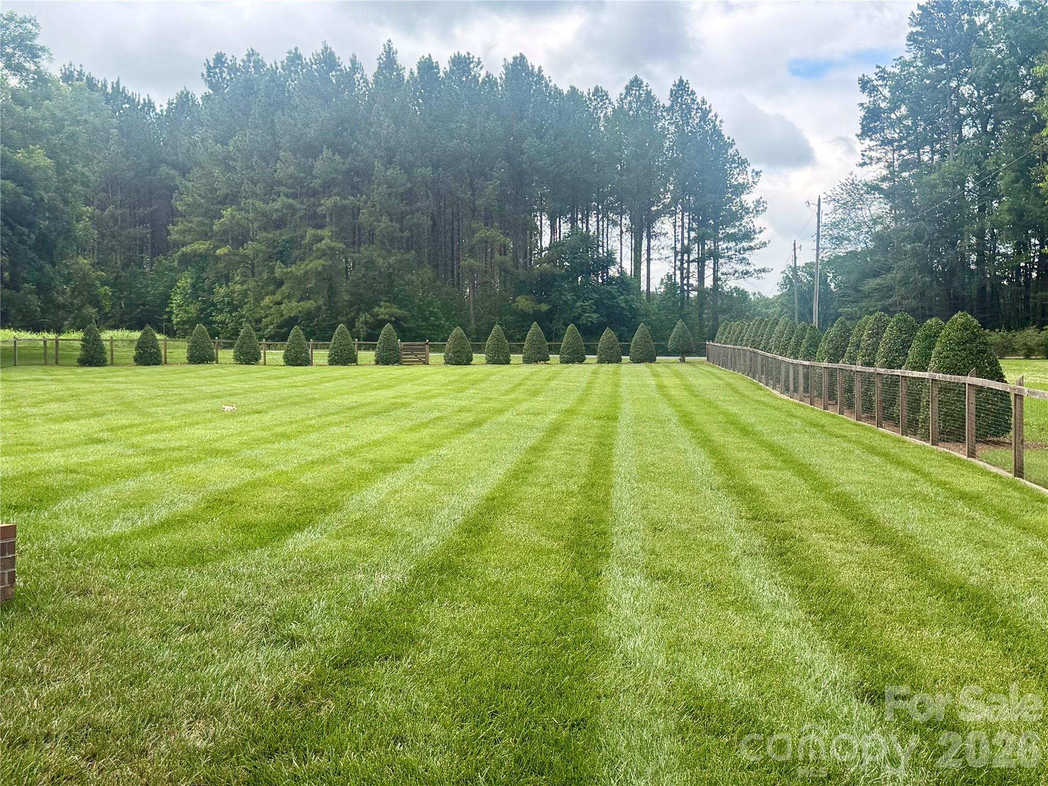 1296 Ben Black Road Midland, NC 28107 - Photo 6 of 48