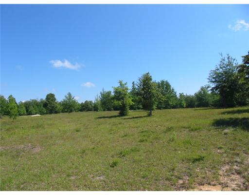 West Maple Road Pass Christian, MS 39571 - Photo 11 of 14 Additional Photo