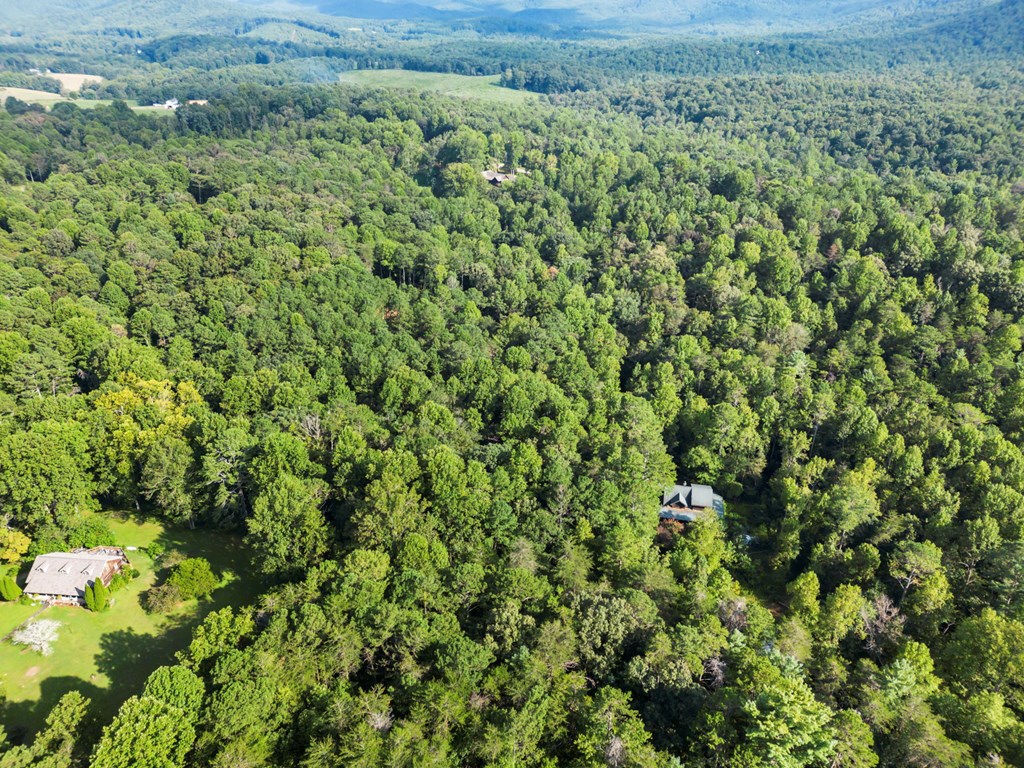 1080 Holt Road Ellijay, GA 30536 - Photo 11 of 17 Gallery Image 11