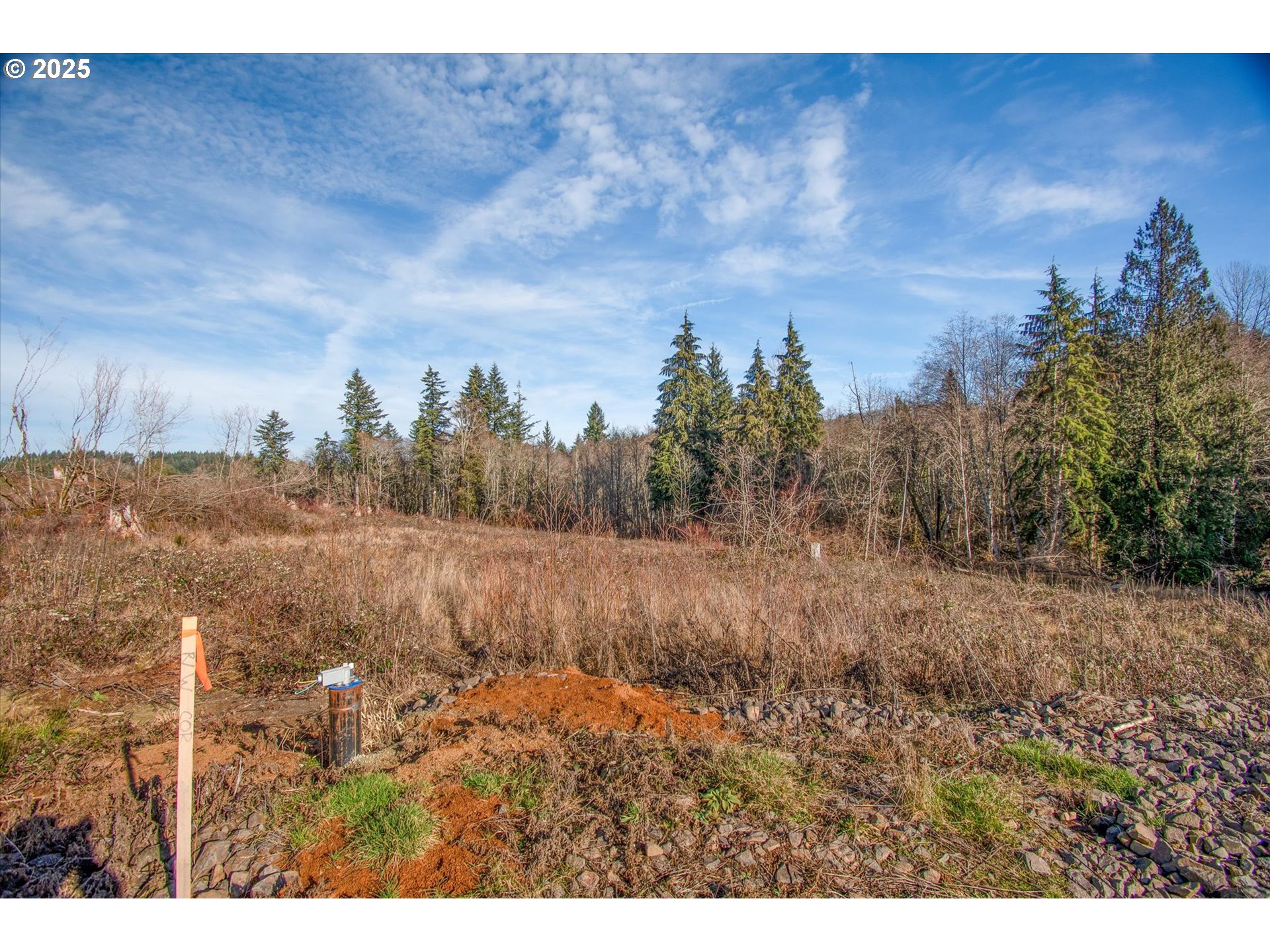 312 Dolan Road Castle Rock, WA 98611 - Photo 3 of 7 a view of a yard