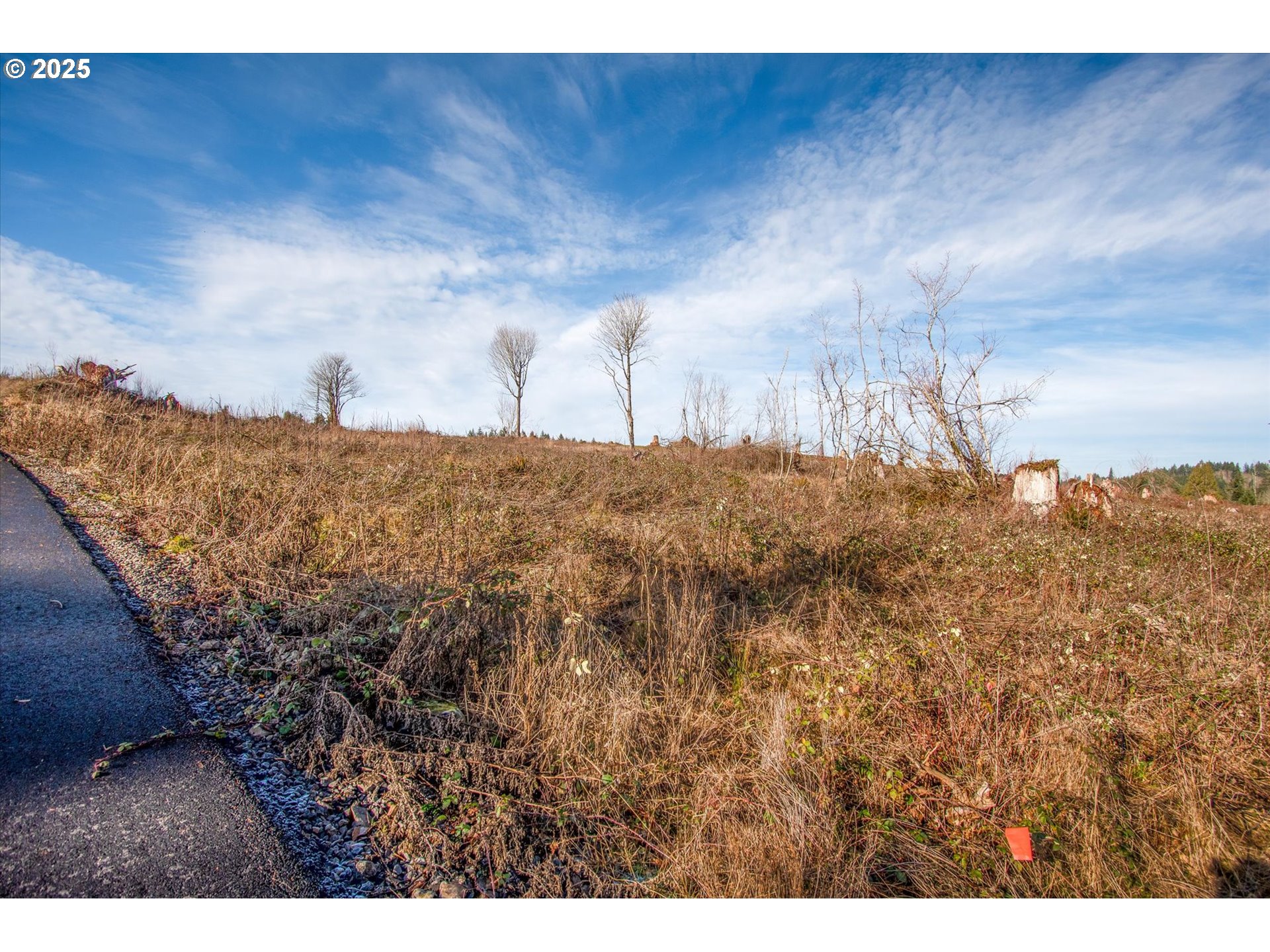 312 Dolan Road Castle Rock, WA 98611 - Photo 6 of 7 a view of a sky view