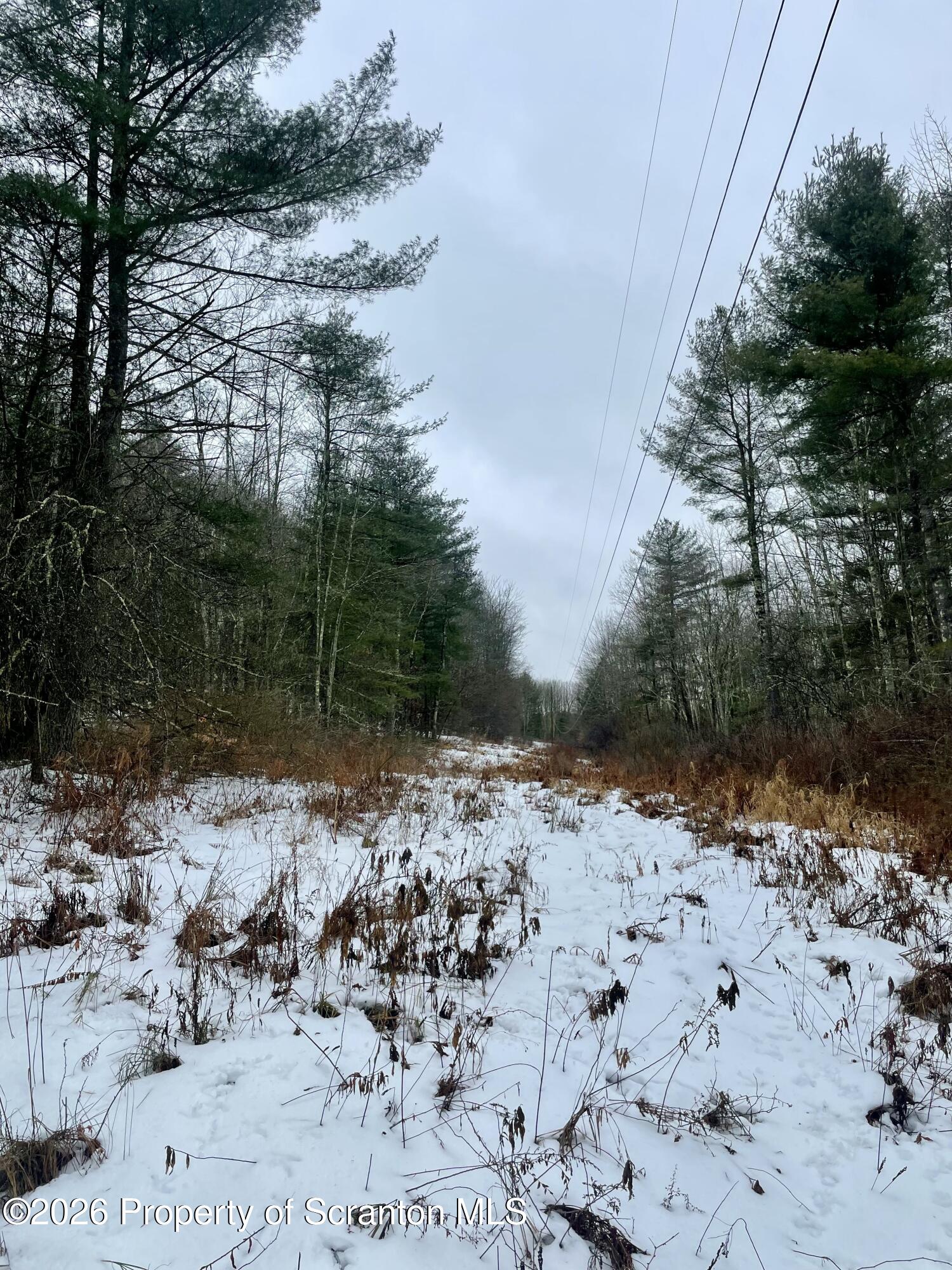 a view of a road with snow on the road