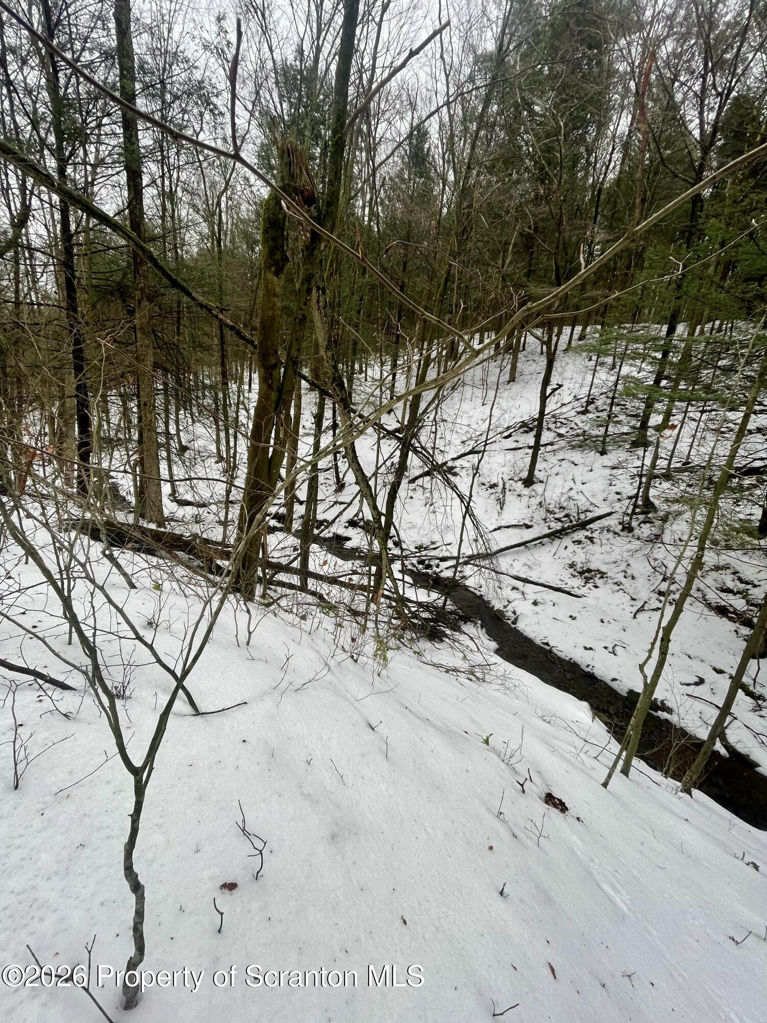 33 Arrowhead Road Little Meadows, PA 18830 - Photo 11 of 17 a view of a yard with a tree