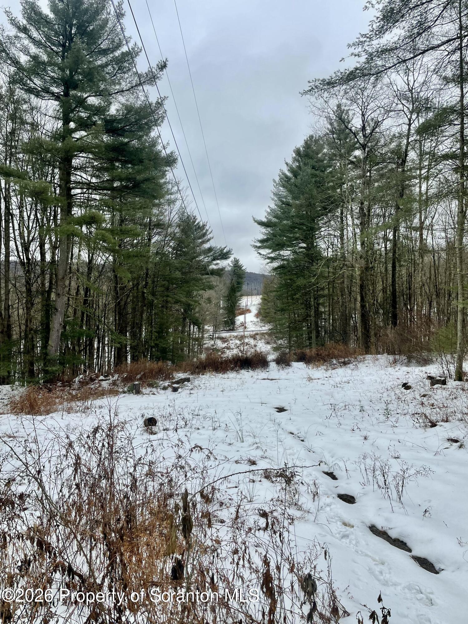 33 Arrowhead Road Little Meadows, PA 18830 - Photo 2 of 17 a view of a yard covered in snow