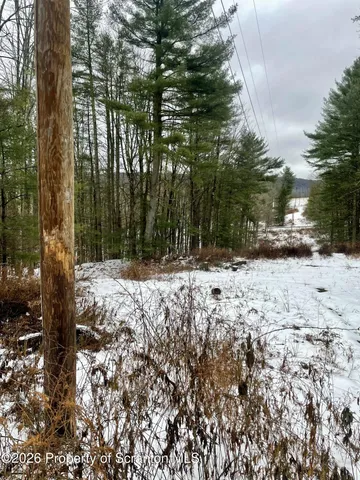 a view of snow covered with trees