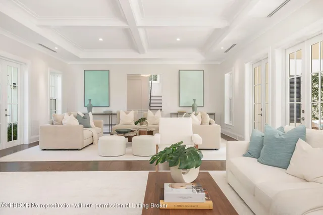 a living room with furniture potted plant and a window