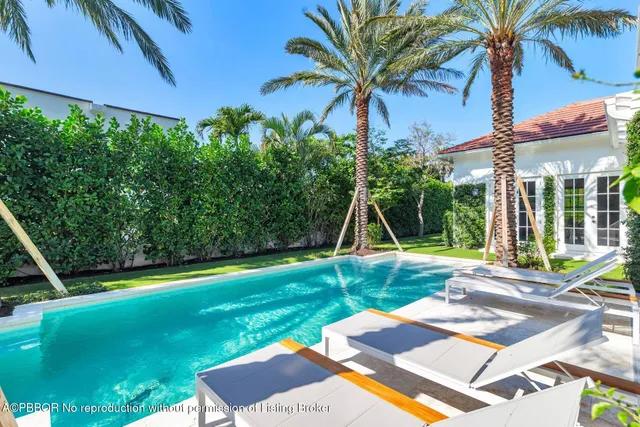 a view of a backyard with a slide and potted plants