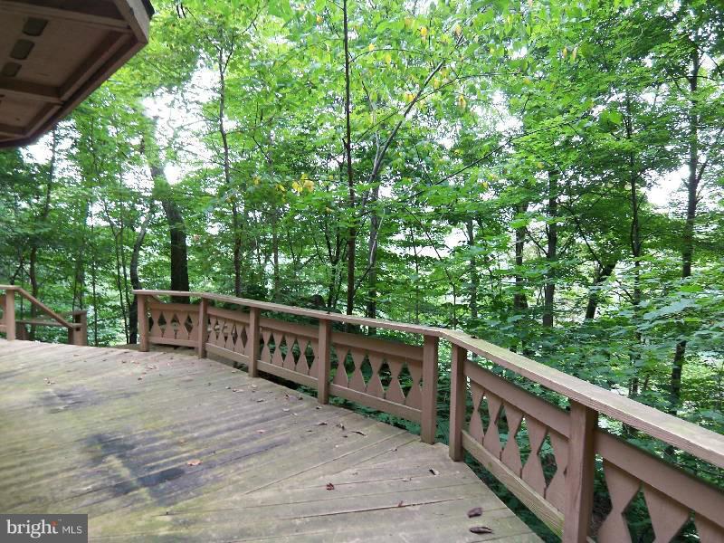 1597 Steamboat Run Road Shepherdstown, WV 25443 - Photo 5 of 30 Exterior (Rear)