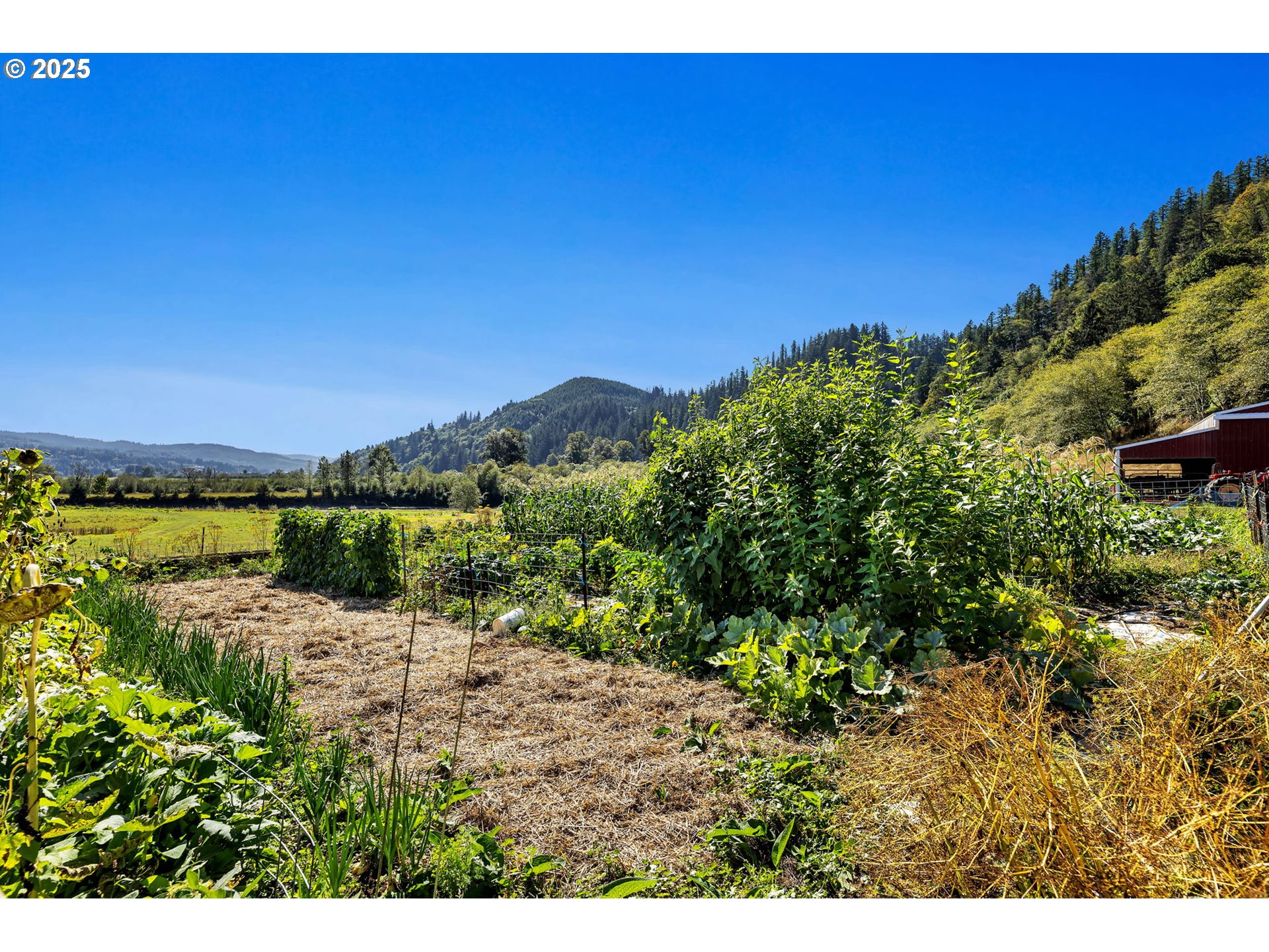 14840 Condor Road Cloverdale, OR 97112 - Photo 35 of 45 Garden