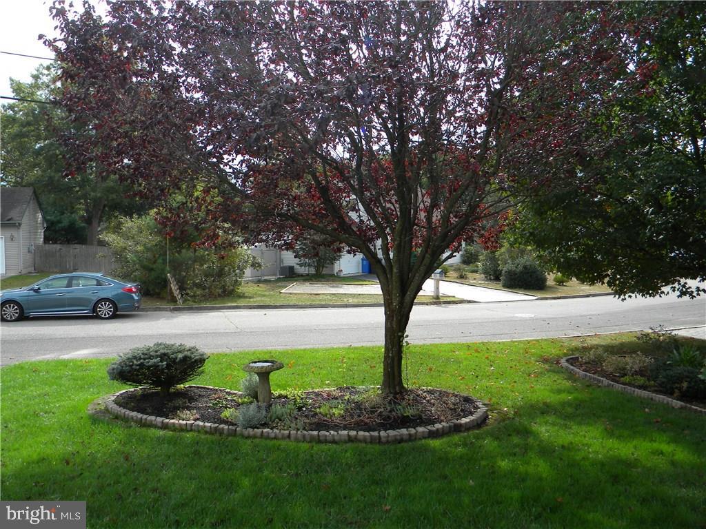 112 Dolphin Road Manahawkin, NJ 08050 - Photo 25 of 28