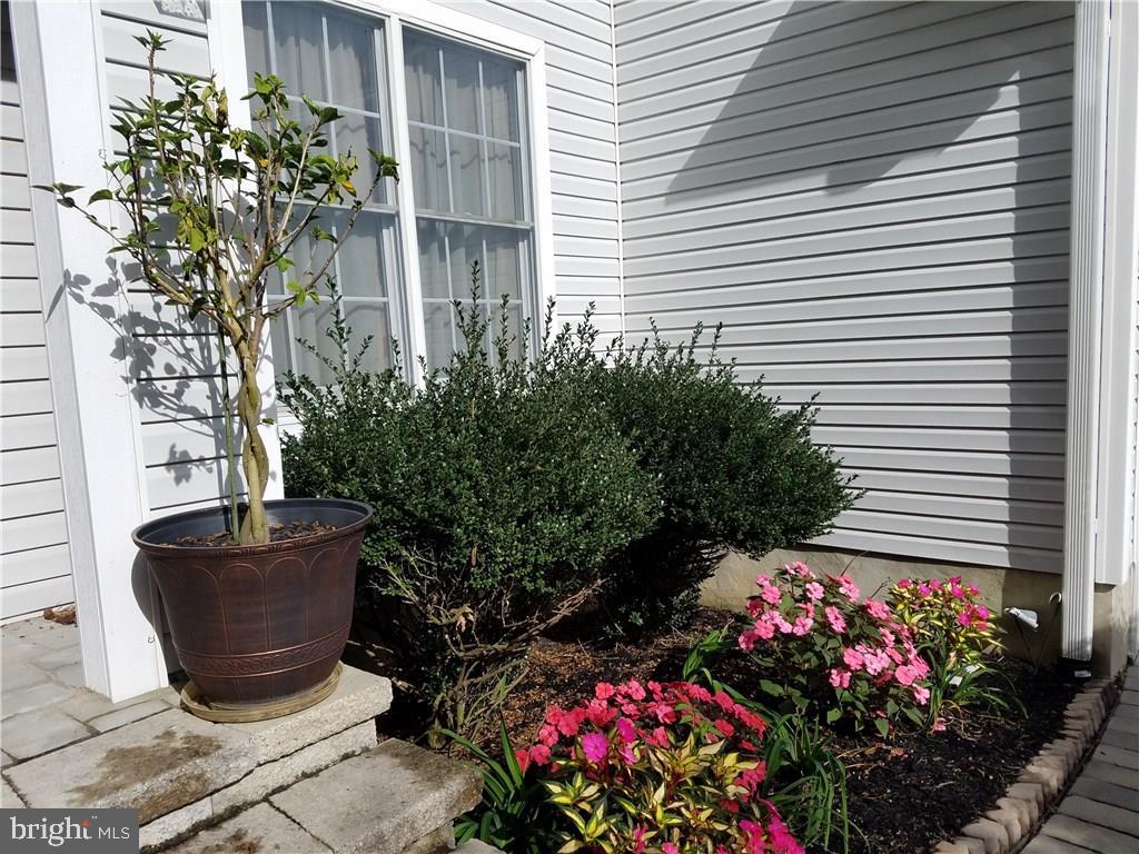 112 Dolphin Road Manahawkin, NJ 08050 - Photo 28 of 28