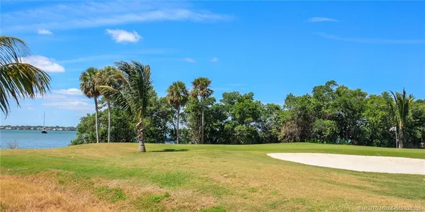 a view of a yard with palm trees