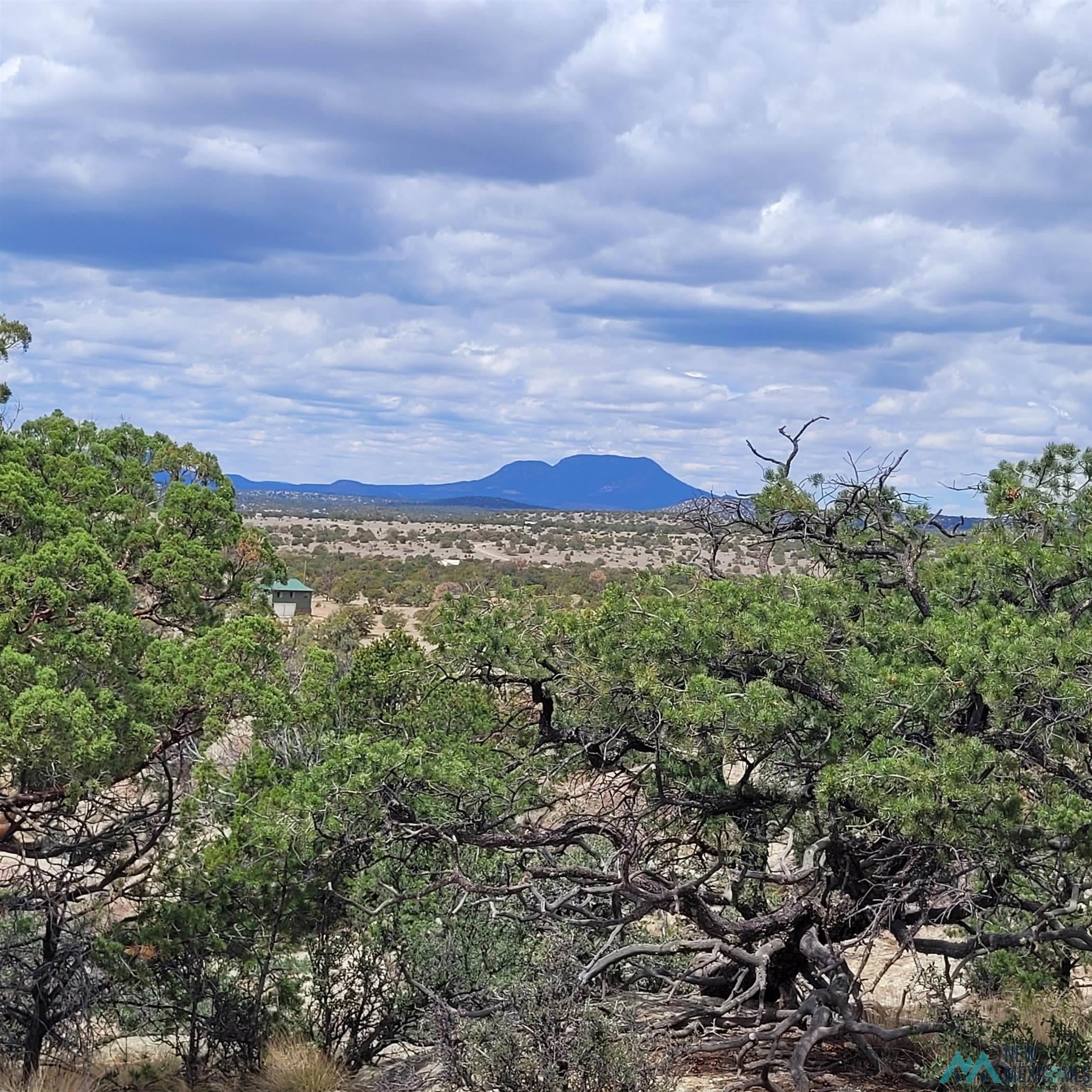 Xx Lookout Loop Datil, NM 87821 - Photo 17 of 38 Gallery Image 17
