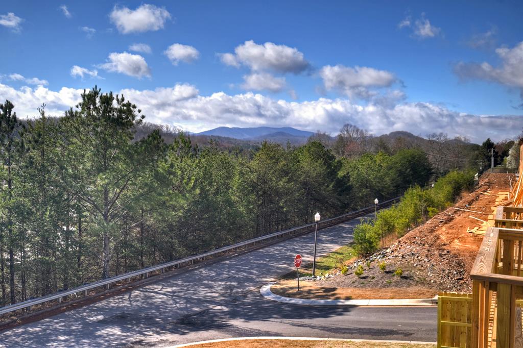 17 Grove Loop Blue Ridge, GA 30513 - Photo 26 of 41