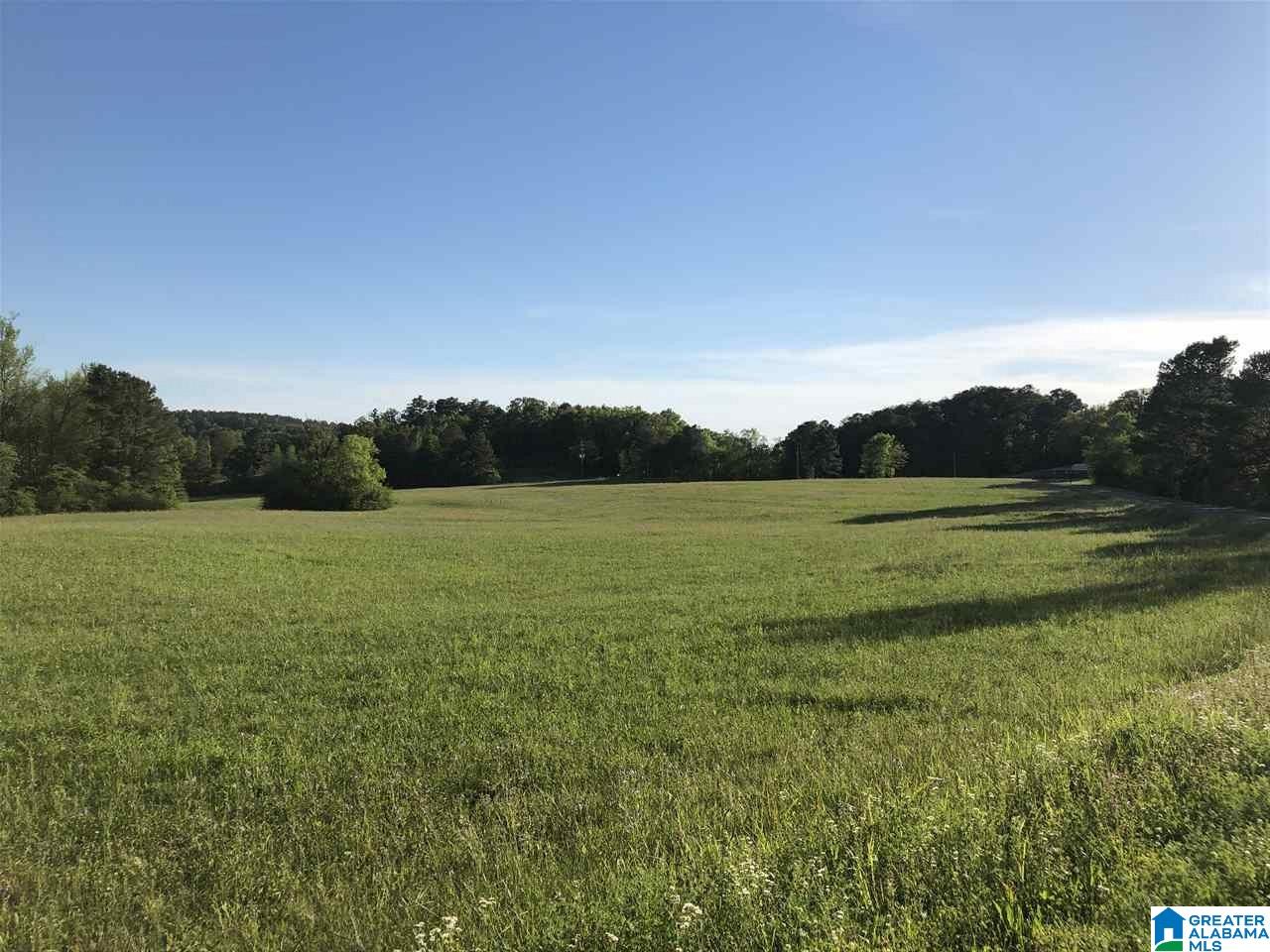 8020 Bob Glenn Road, Unit METES Morris, AL 35116 - Photo 1 of 3