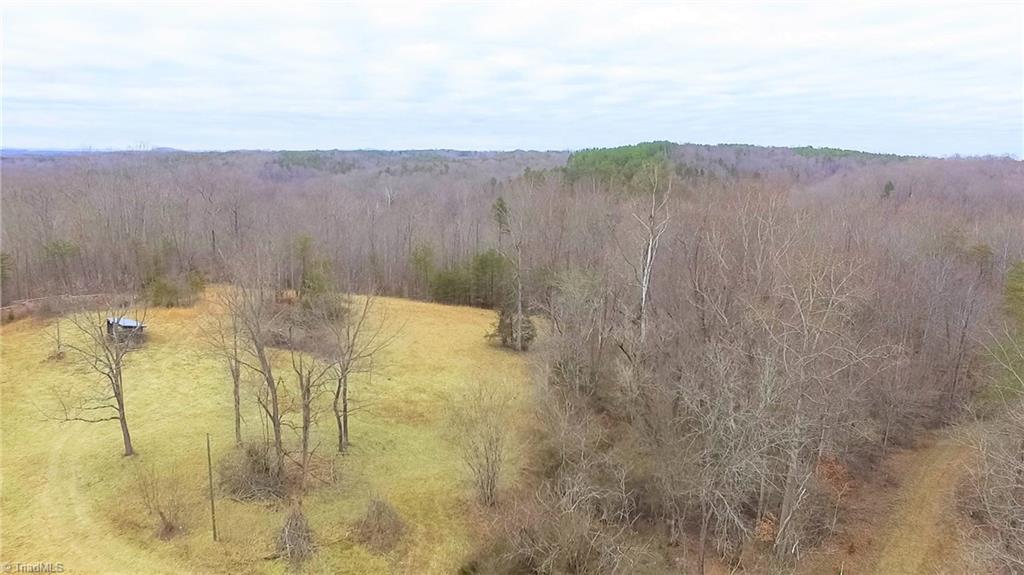Xx 77-ac Bumpy Hollow Road Walnut Cove, NC 27052 - Photo 3 of 11 Gallery Image 3
