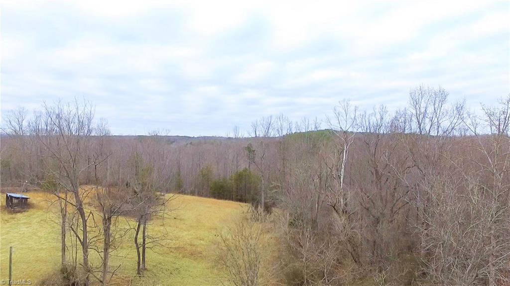 Xx 77-ac Bumpy Hollow Road Walnut Cove, NC 27052 - Photo 5 of 11 Gallery Image 5