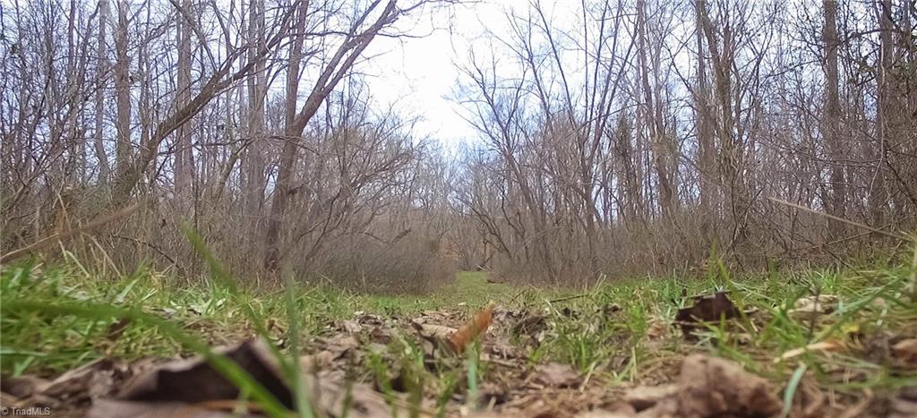 Xx 77-ac Bumpy Hollow Road Walnut Cove, NC 27052 - Photo 6 of 11 Gallery Image 6
