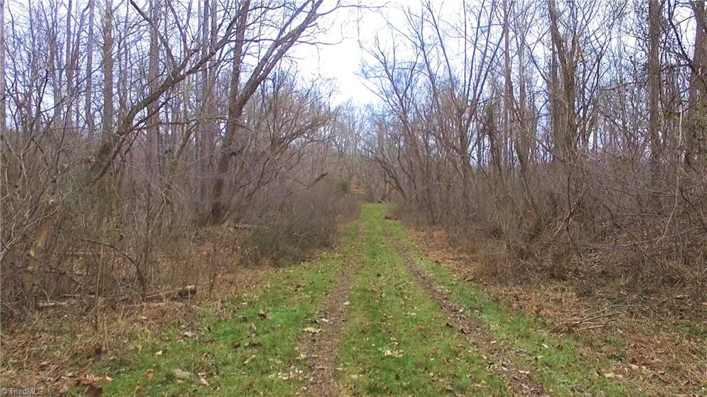Xx 77-ac Bumpy Hollow Road Walnut Cove, NC 27052 - Photo 7 of 11 Gallery Image 7