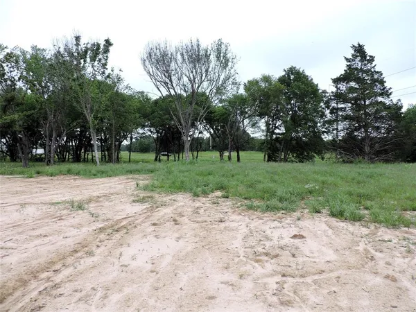 a view of a park with tree s