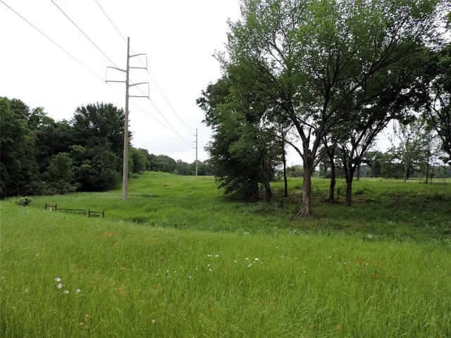 a view of a field with a tree in the background