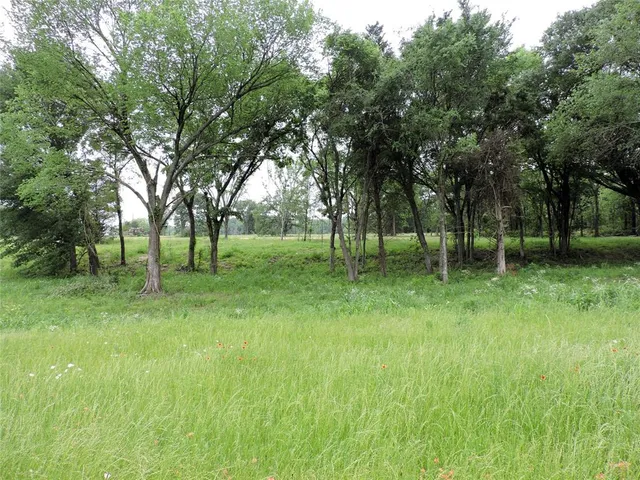 a view of backyard with green space