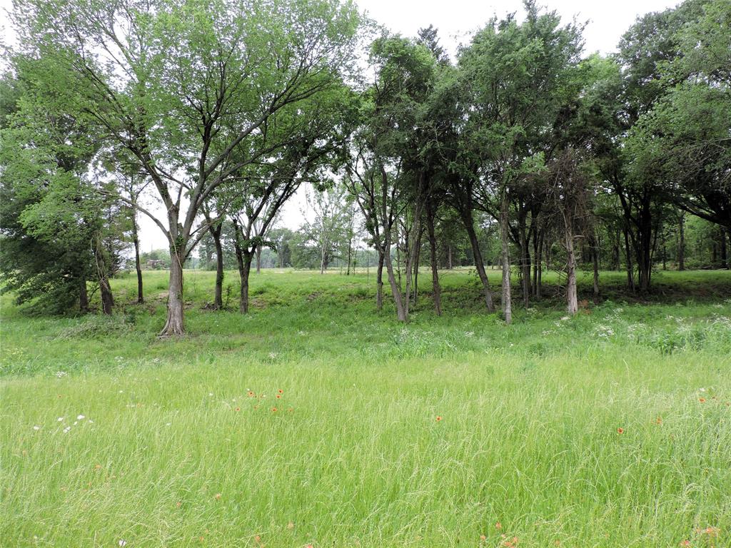 0 U Highway Eustace, TX 75124 - Photo 5 of 15 a view of backyard with green space