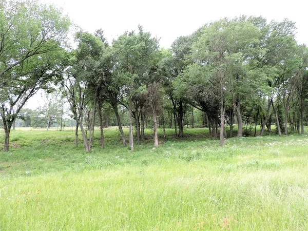 a backyard of a house with trees and plants