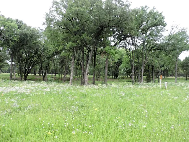 a view of outdoor space with deck and yard