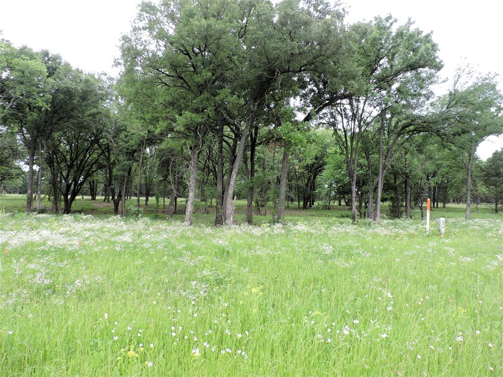 0 U Highway Eustace, TX 75124 - Photo 7 of 15 a view of outdoor space with deck and yard