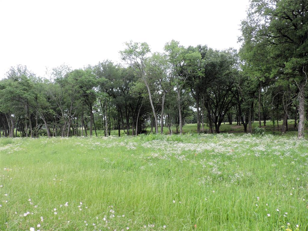 0 U Highway Eustace, TX 75124 - Photo 8 of 15 a backyard of a house with trees