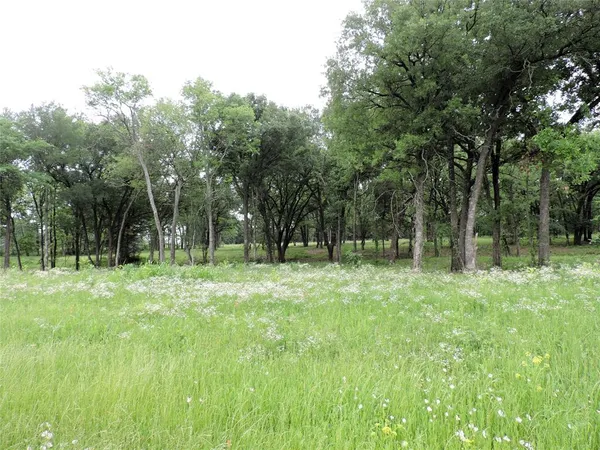 a view of outdoor space with trees all around