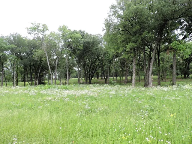 a view of outdoor space with trees all around