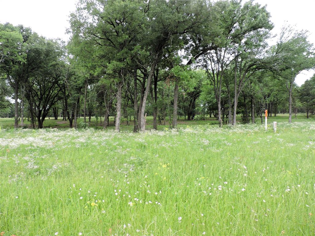 0 U Highway Eustace, TX 75124 - Photo 10 of 15 a backyard of a house with lots of green space and trampoline