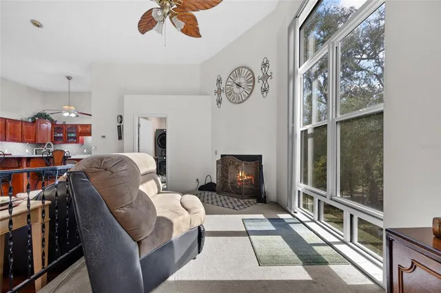 a living room with furniture a rug and a fireplace