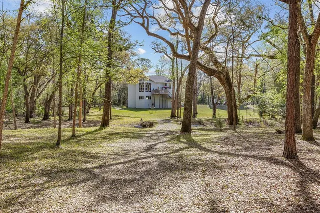 a view of park with wooden stairs