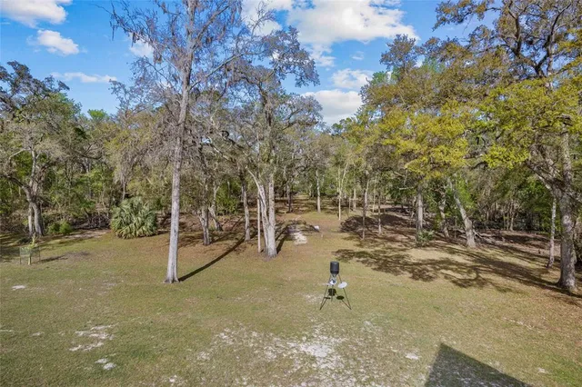 a view of a yard with trees