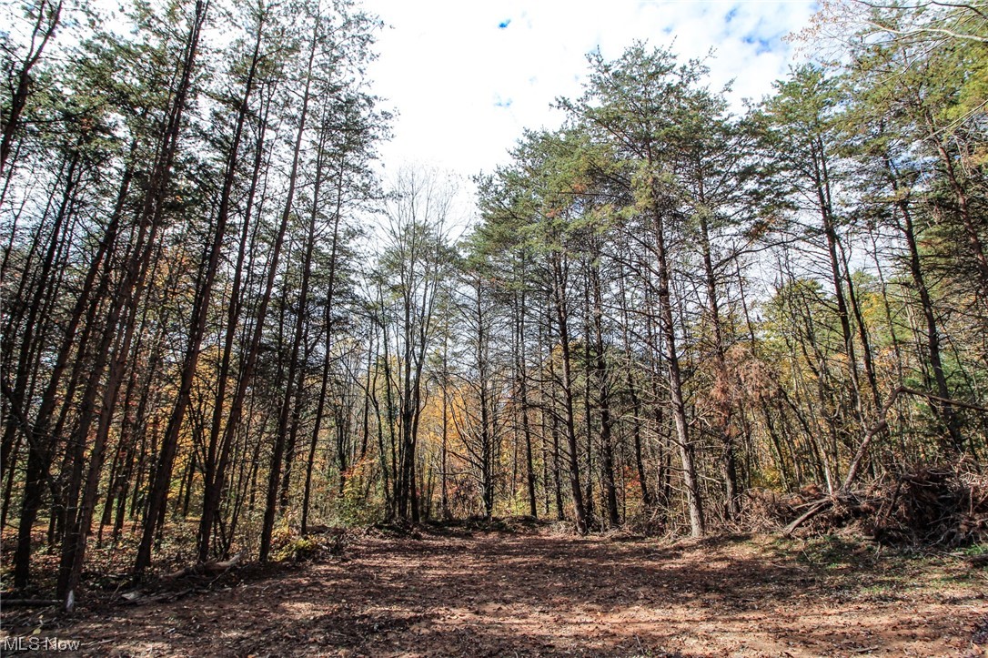 0 Pleasant Ridge Road Graysville, OH 45734 - Photo 22 of 32 View of mother earth's splendor