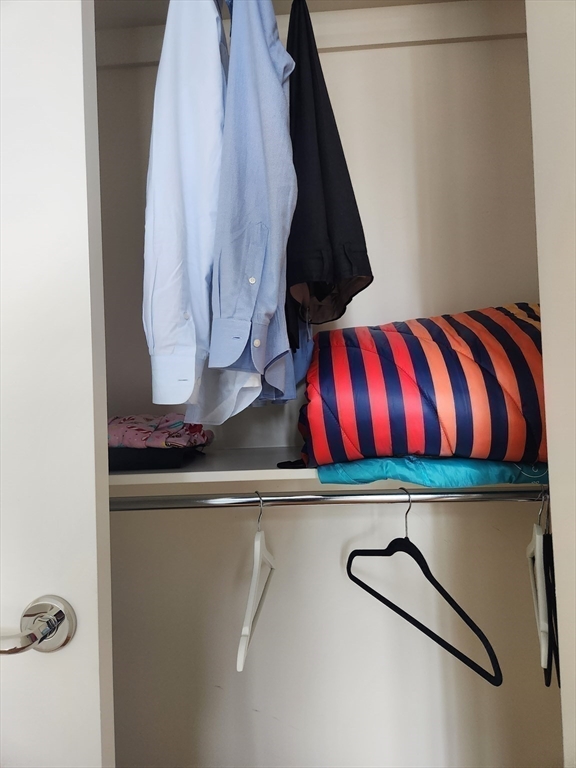 400 Stuart Street, Unit 18K Boston, MA 02116 - Photo 20 of 31 a close view of closet