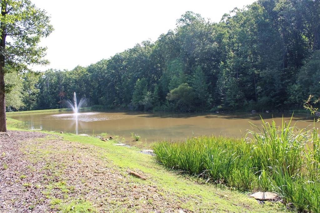1361 Sierra Trace Road Denton, NC 27239 - Photo 22 of 36