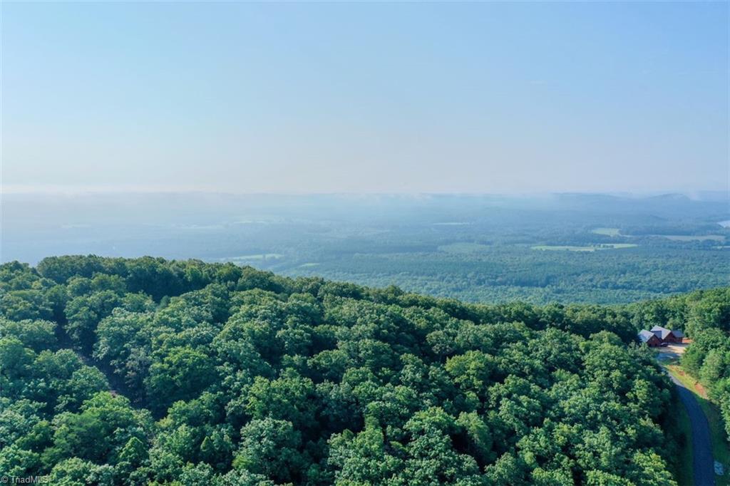 1361 Sierra Trace Road Denton, NC 27239 - Photo 8 of 36