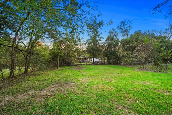 a view of a park with large trees