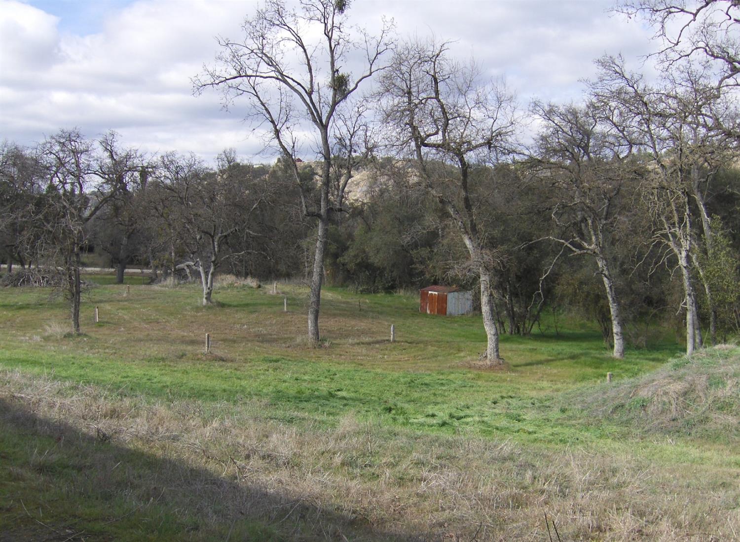 50246 Greenhill Road Squaw Valley, CA 93675 - Photo 9 of 11 Gallery Image 9