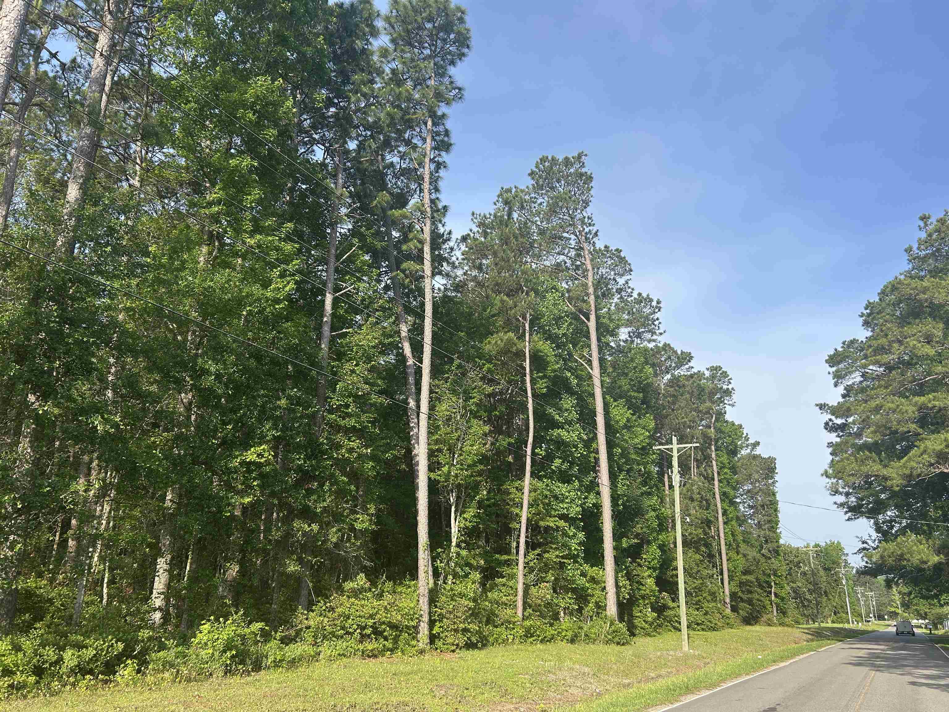 4259 Roscoe Road Myrtle Beach, SC 29588 - Photo 16 of 18