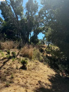 $139,000 | Spring Road, Orinda, CA 94563