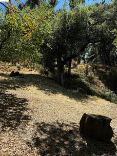 $139,000 | Spring Road, Orinda, CA 94563